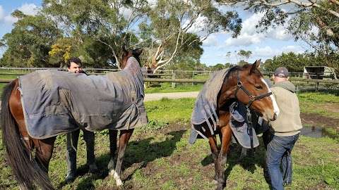 Photo: Merlin Park Horse Agistment